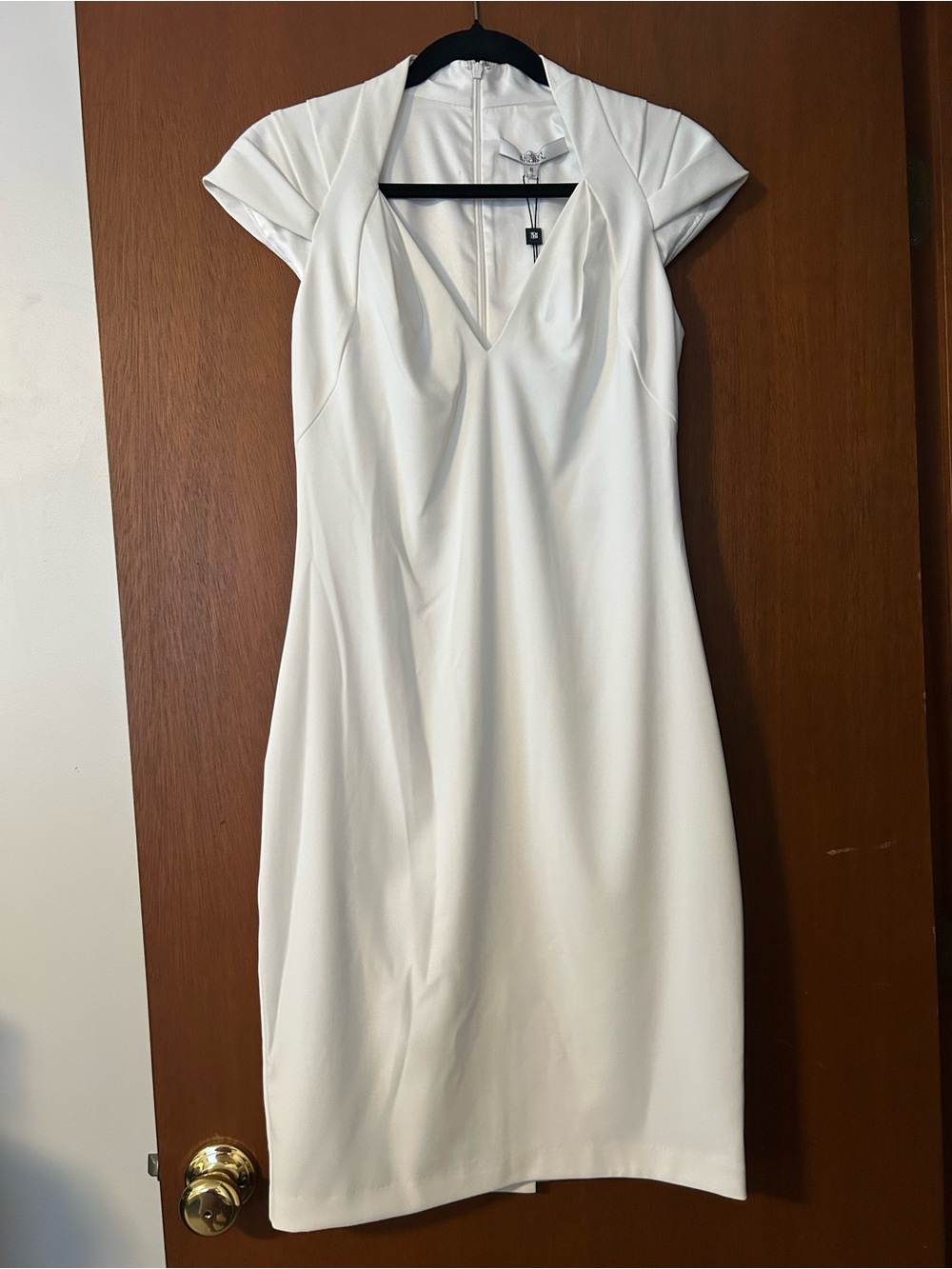 Badgley Mischka Ivory V-Neck Cap Sleeve Sheath Dress